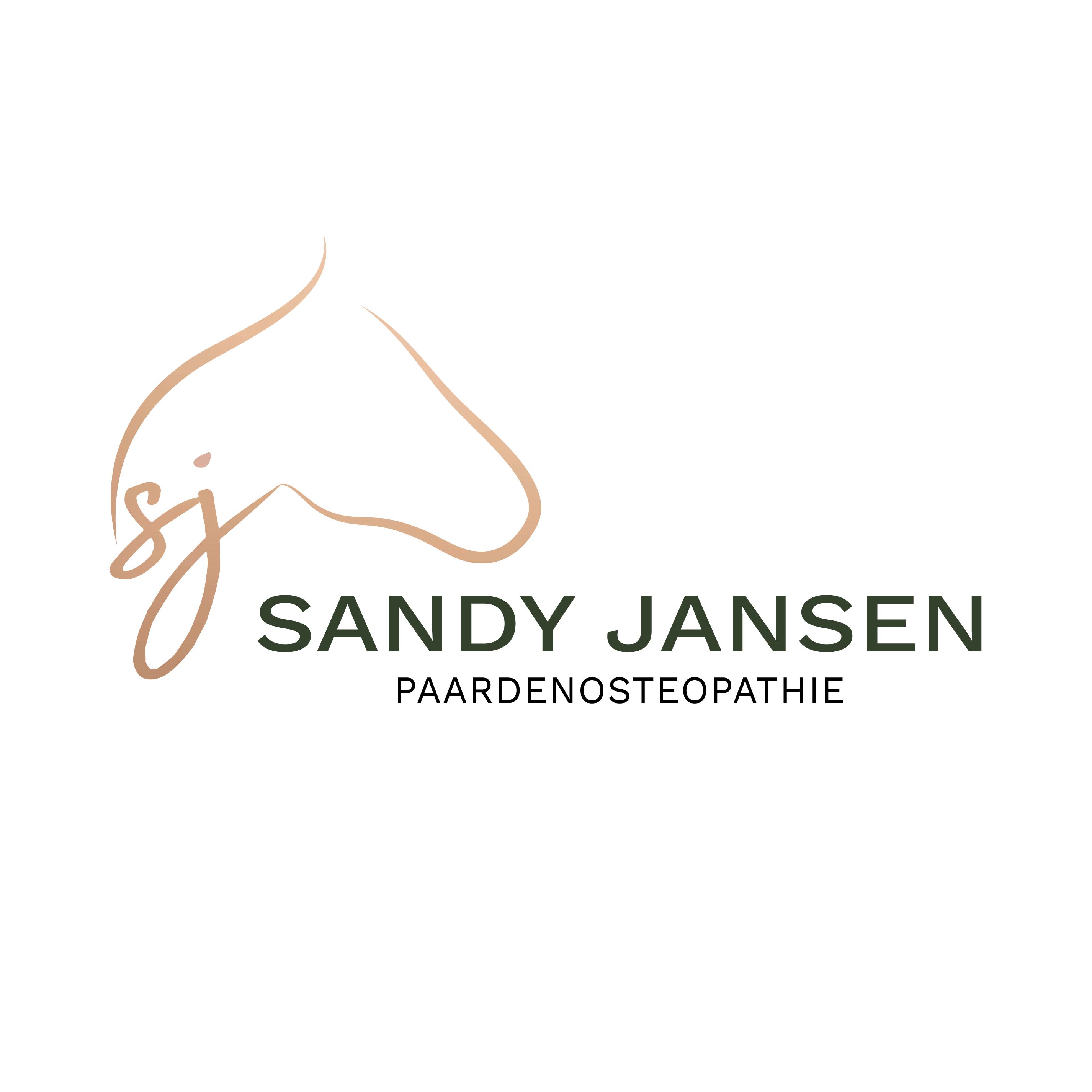 Sandy Jansen Paarden Osteopathie
